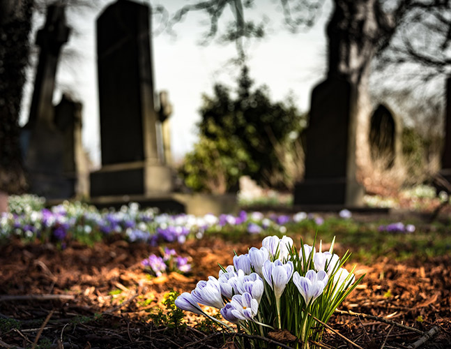 Grave-flowers